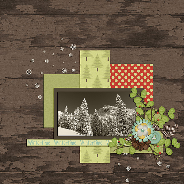 Evergreen Dreams