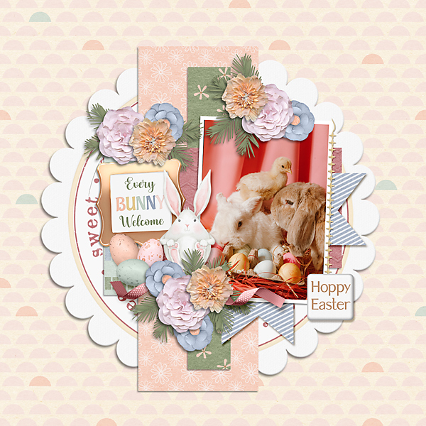 Every Bunny Welcome