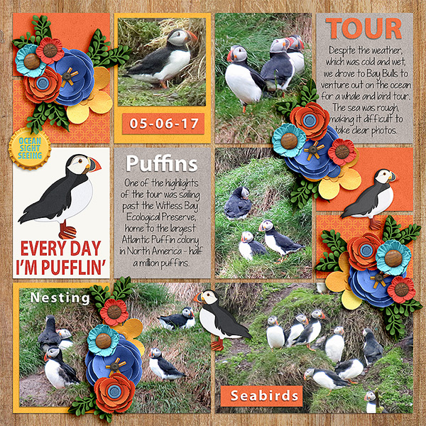 Every Day I'm Pufflin'