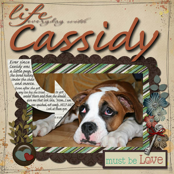 Every day life with Cassidy