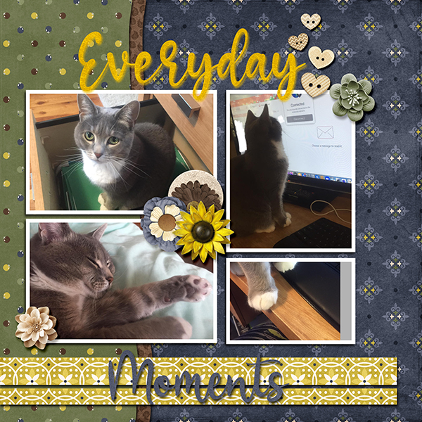 Every Day Moments_