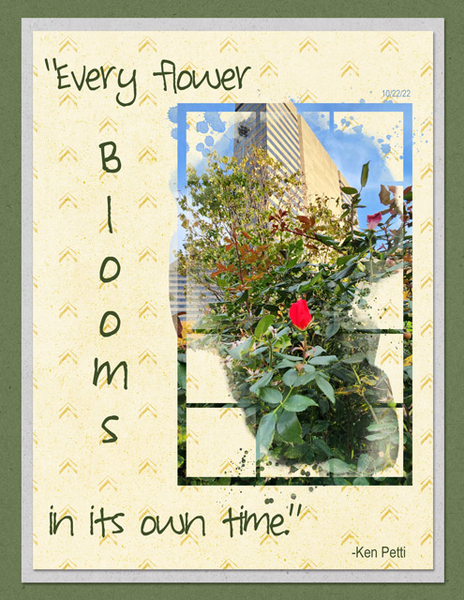Every Flower