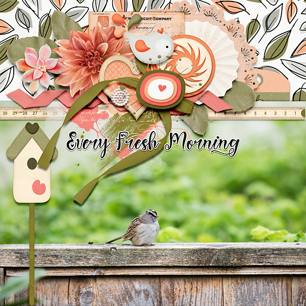 Every Fresh Morning