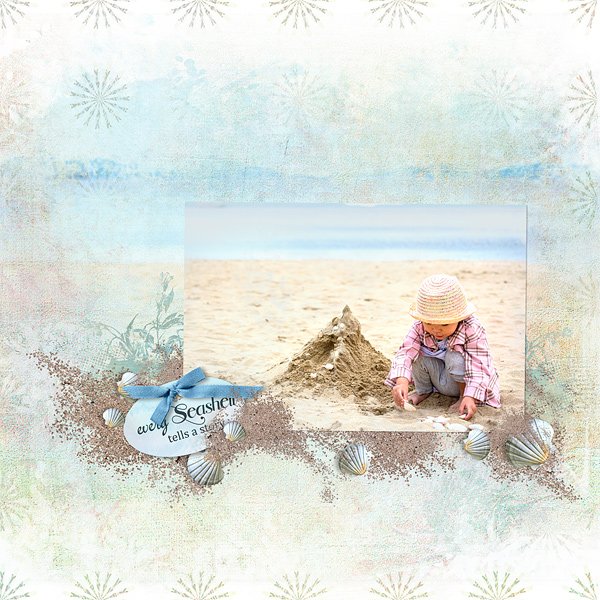 Every Seashell Tells A Story