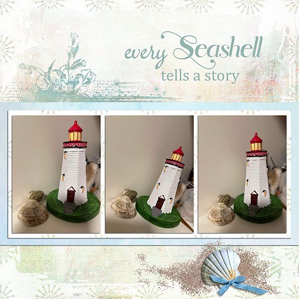 Every Seashell tells a story