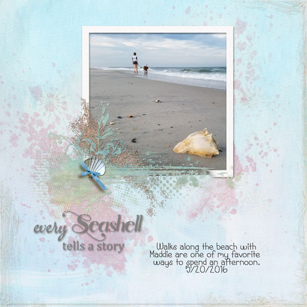 Every Seashell