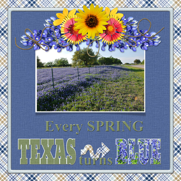 Every SPRING TEXAS turns BLUE