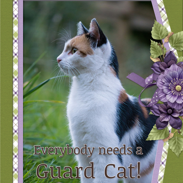 Everybody needs a GUARD CAT!
