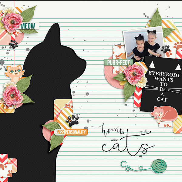 Everybody wants to be a cat
