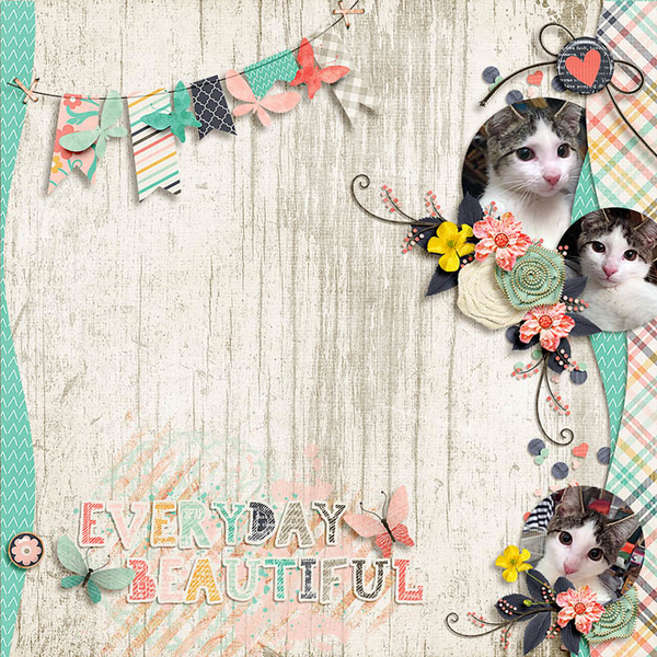 everyday beautiful