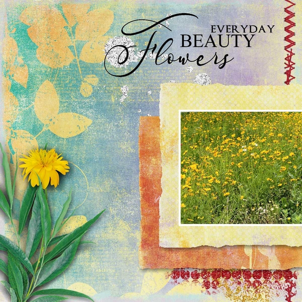 Everyday Beauty