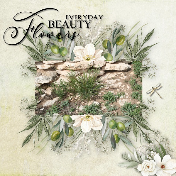 Everyday Flowers
