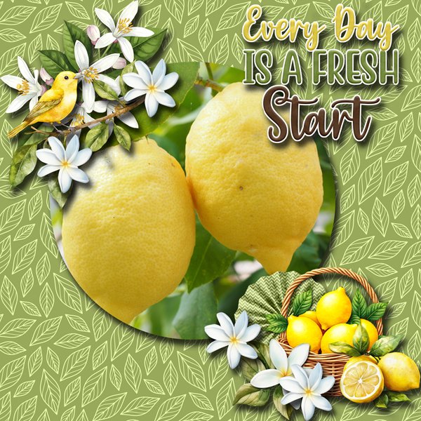 Everyday is a fresh start