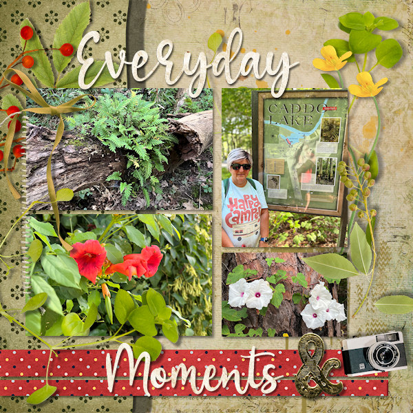 Everyday Moments