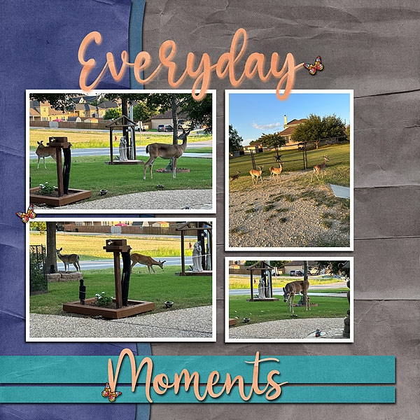 Everyday Moments