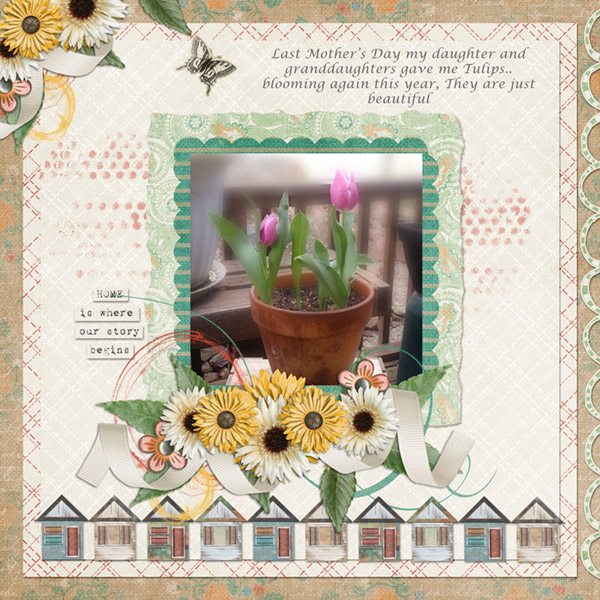 Everyday Stories-Tulips