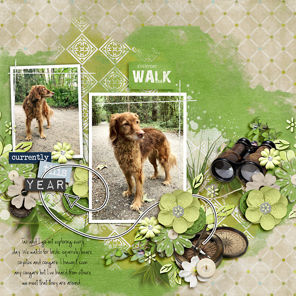 Everyday Walk