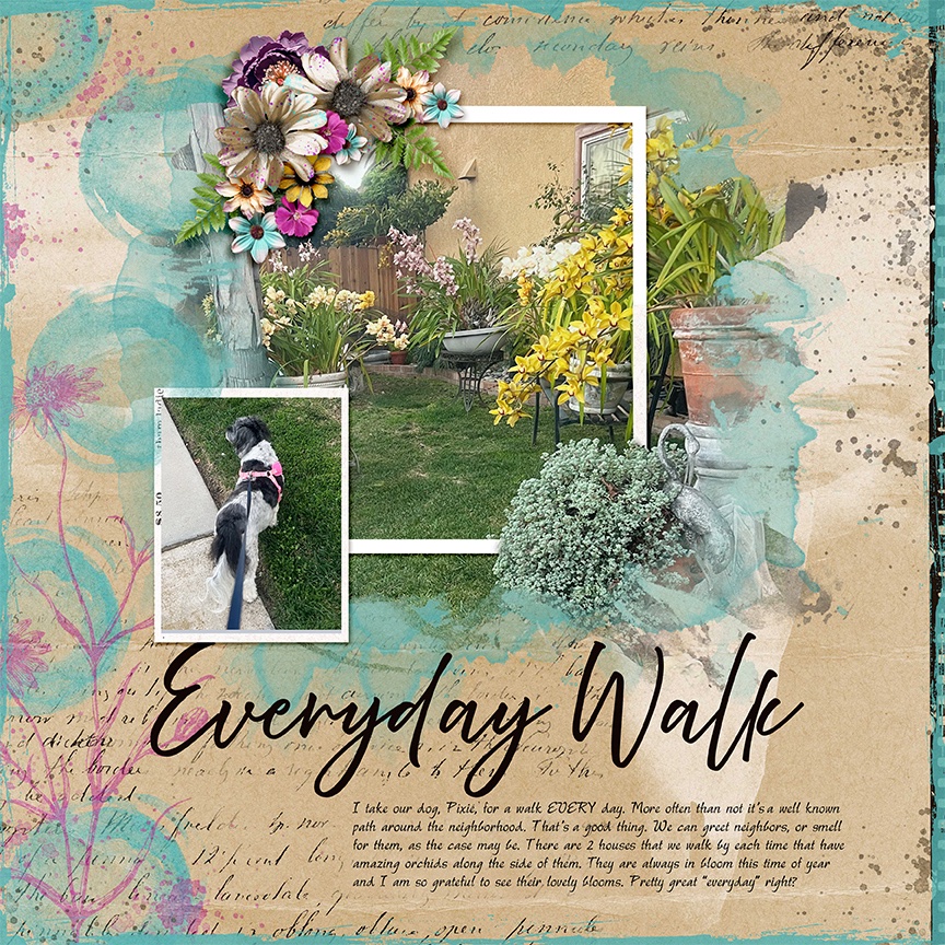Everyday Walk