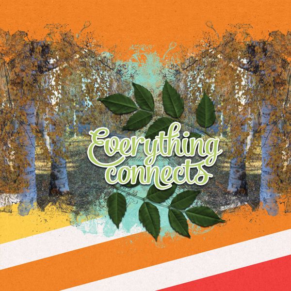 Everything connects