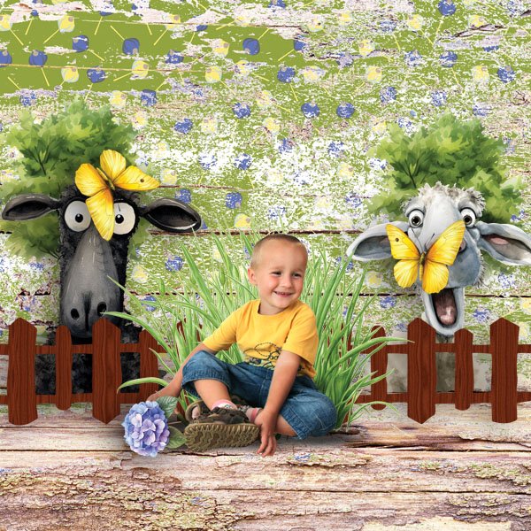 Ewe Make Me Laugh