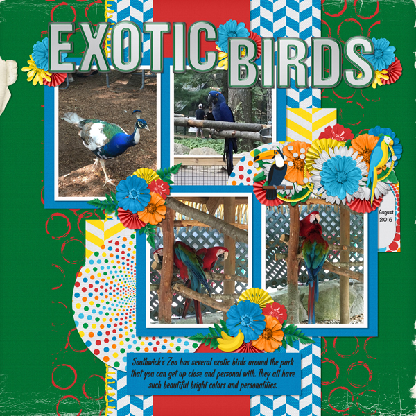 Exotic Birds