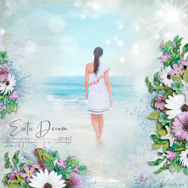 exotic dream