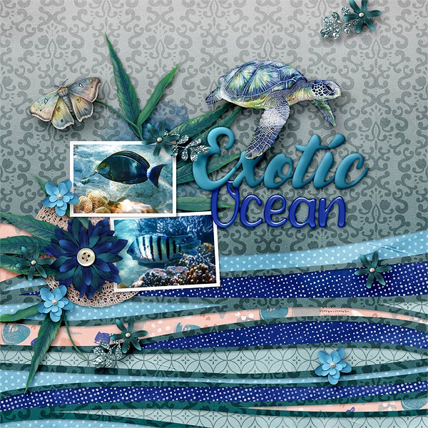 Exotic Ocean