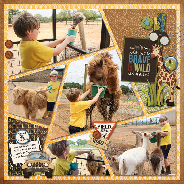 Exotic Zoo