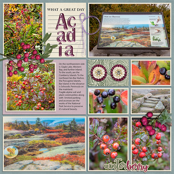 Explore Acadia R