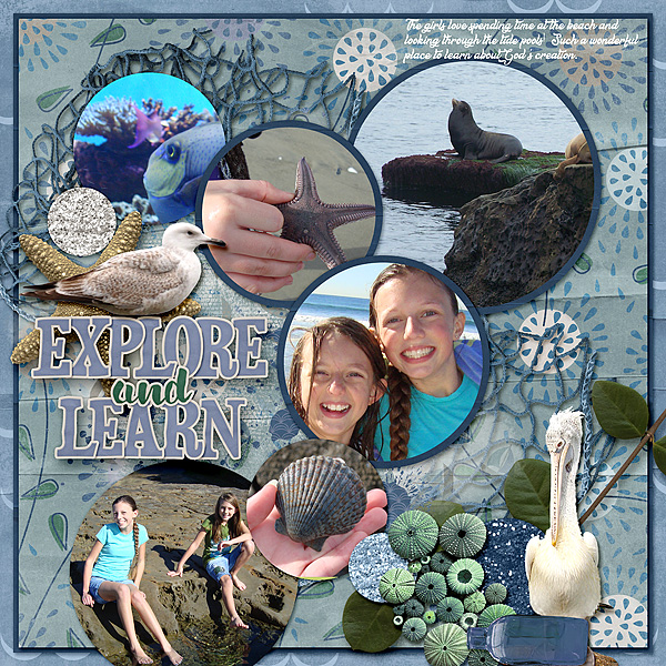 Explore and Learn