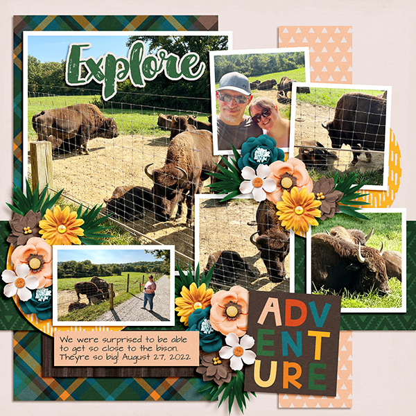 Explore Bison