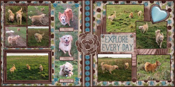 Explore Every Day