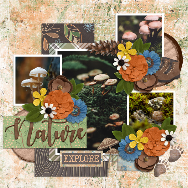Explore Nature - In the Mountain