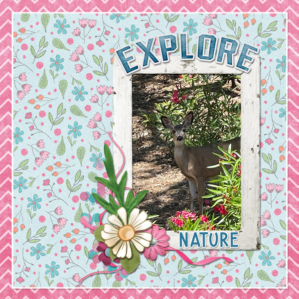 Explore Nature