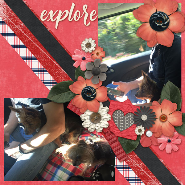 Explore | Recipe Challenge
