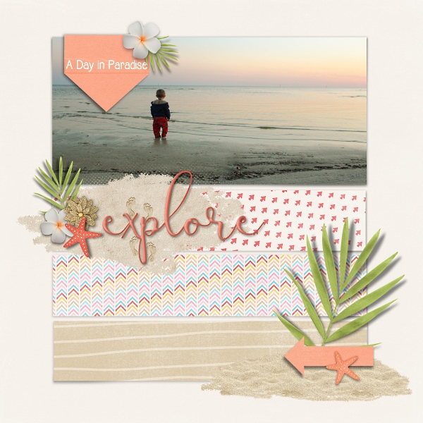 Explore the Beach