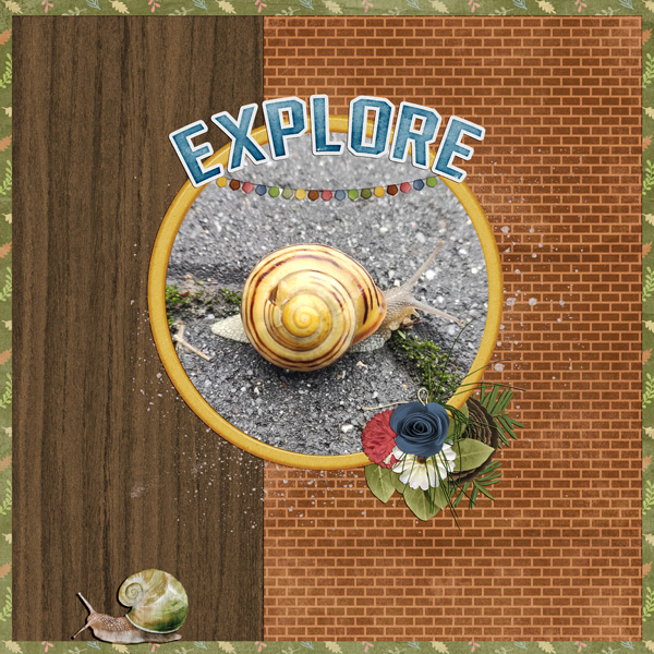 explore the big world