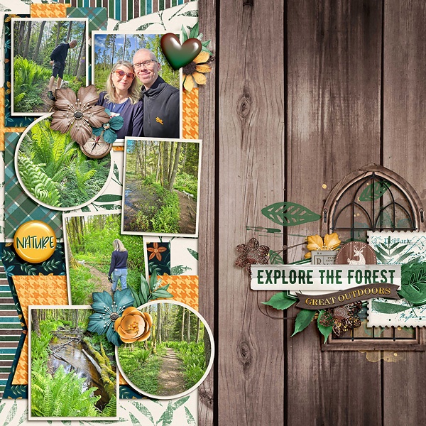 Explore the forest