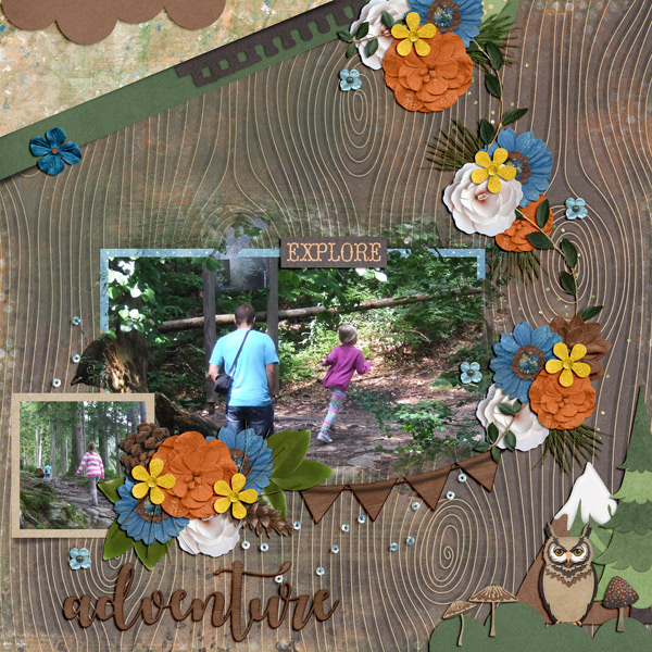 explore the woods