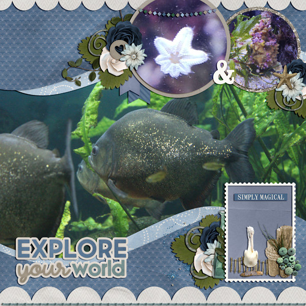 explore your world