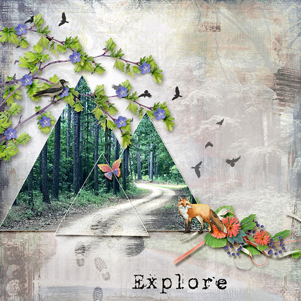 Explore