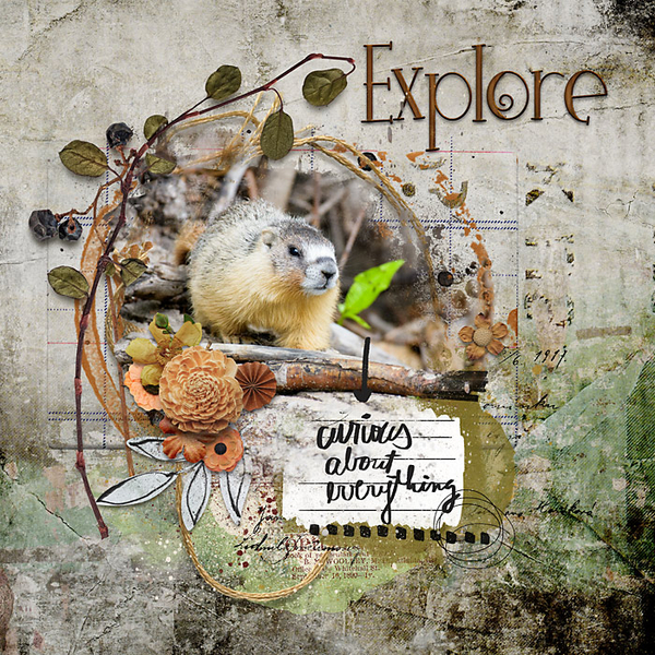 Explore
