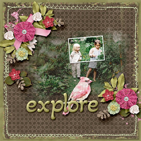 Explore
