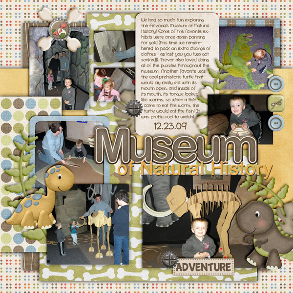 Exploring AZ's Museum of Natural History