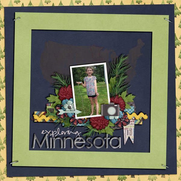 exploring Minnesota