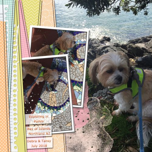 Exploring Paihia NZ