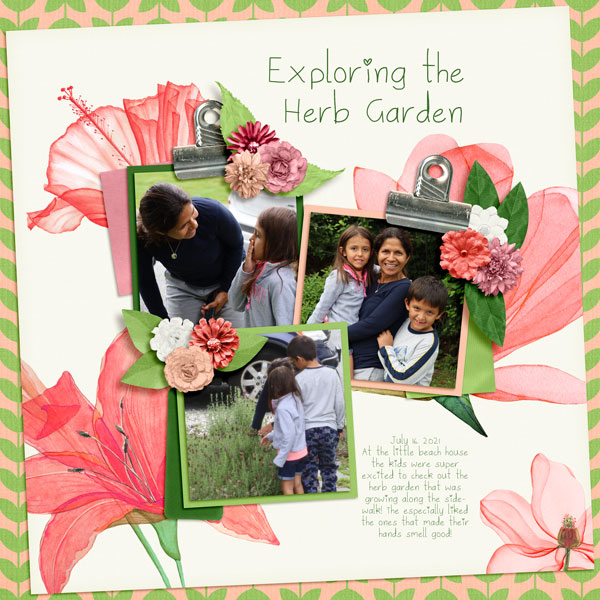 Exploring the Herb Garden