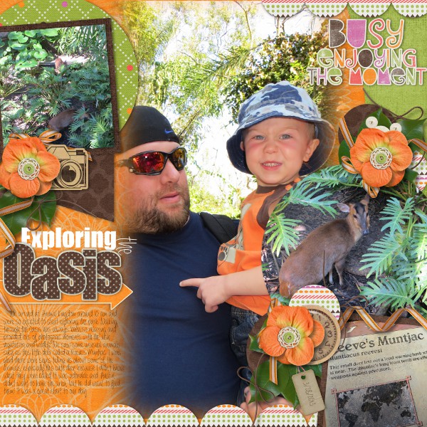 Exploring the Oasis