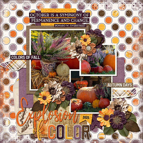 Explosion of Color