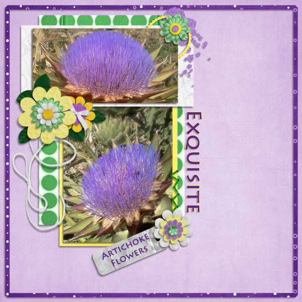 Exquisite
